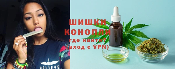 ГАЛЛЮЦИНОГЕННЫЕ ГРИБЫ Баксан