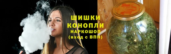 ГАЛЛЮЦИНОГЕННЫЕ ГРИБЫ Балахна