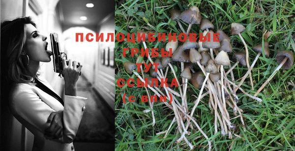 ГАЛЛЮЦИНОГЕННЫЕ ГРИБЫ Баксан